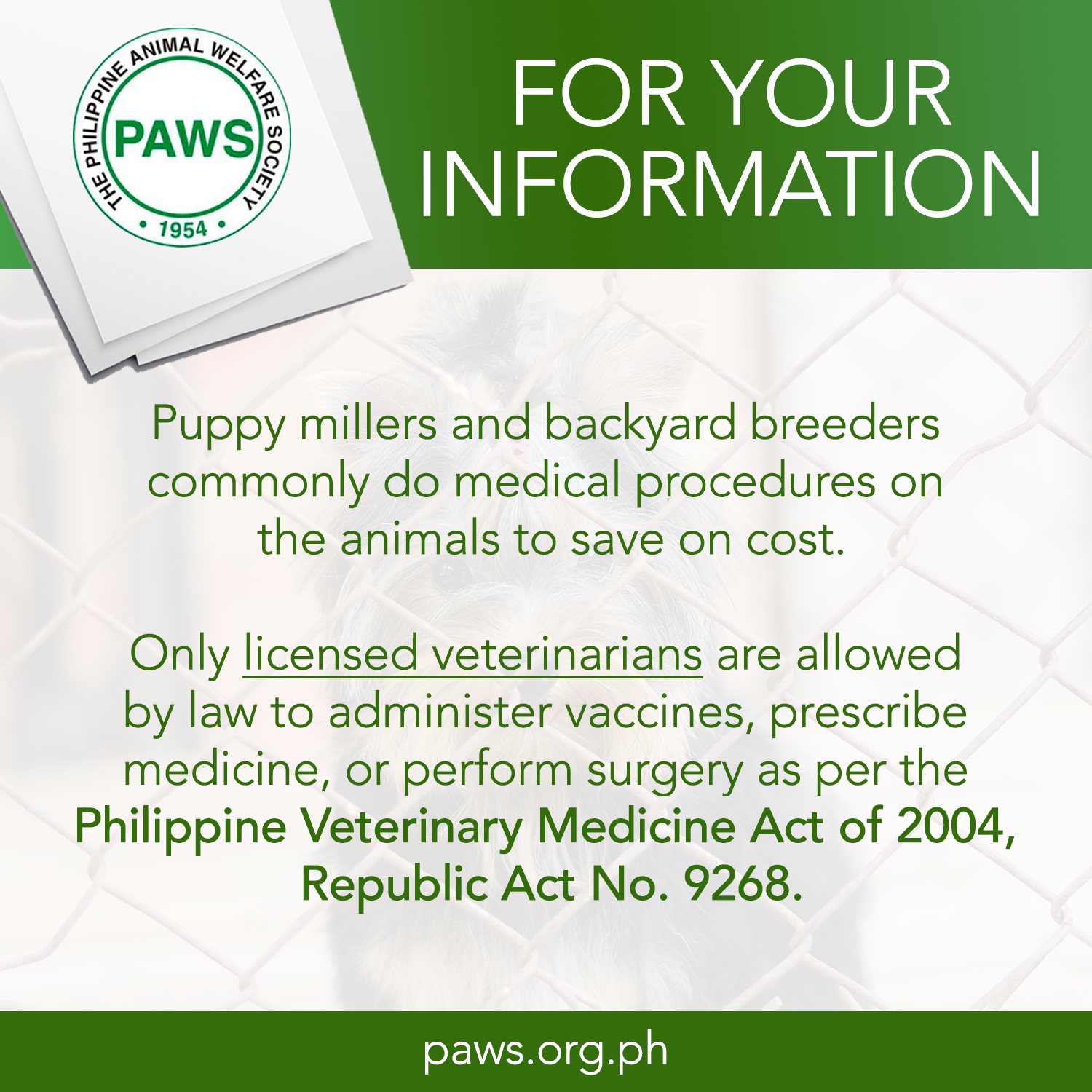 Paalala lang po from Philippine Animal Welfare Society (PAWS)
