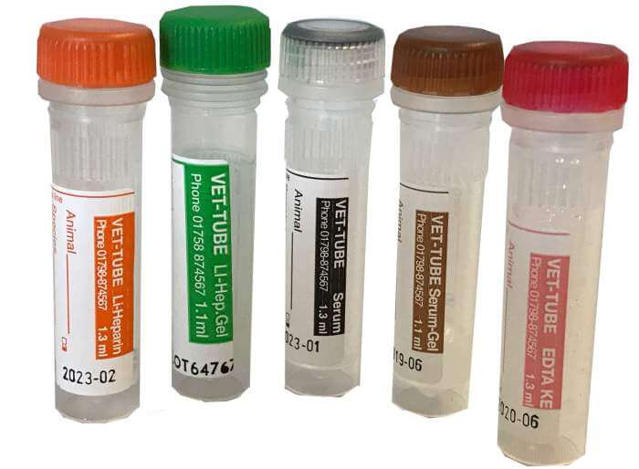 Testing Reduces Risks in Pet's Anesthesia