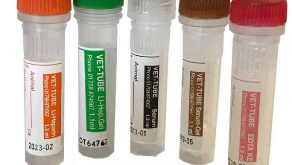 Testing Reduces Risks in Pet's Anesthesia