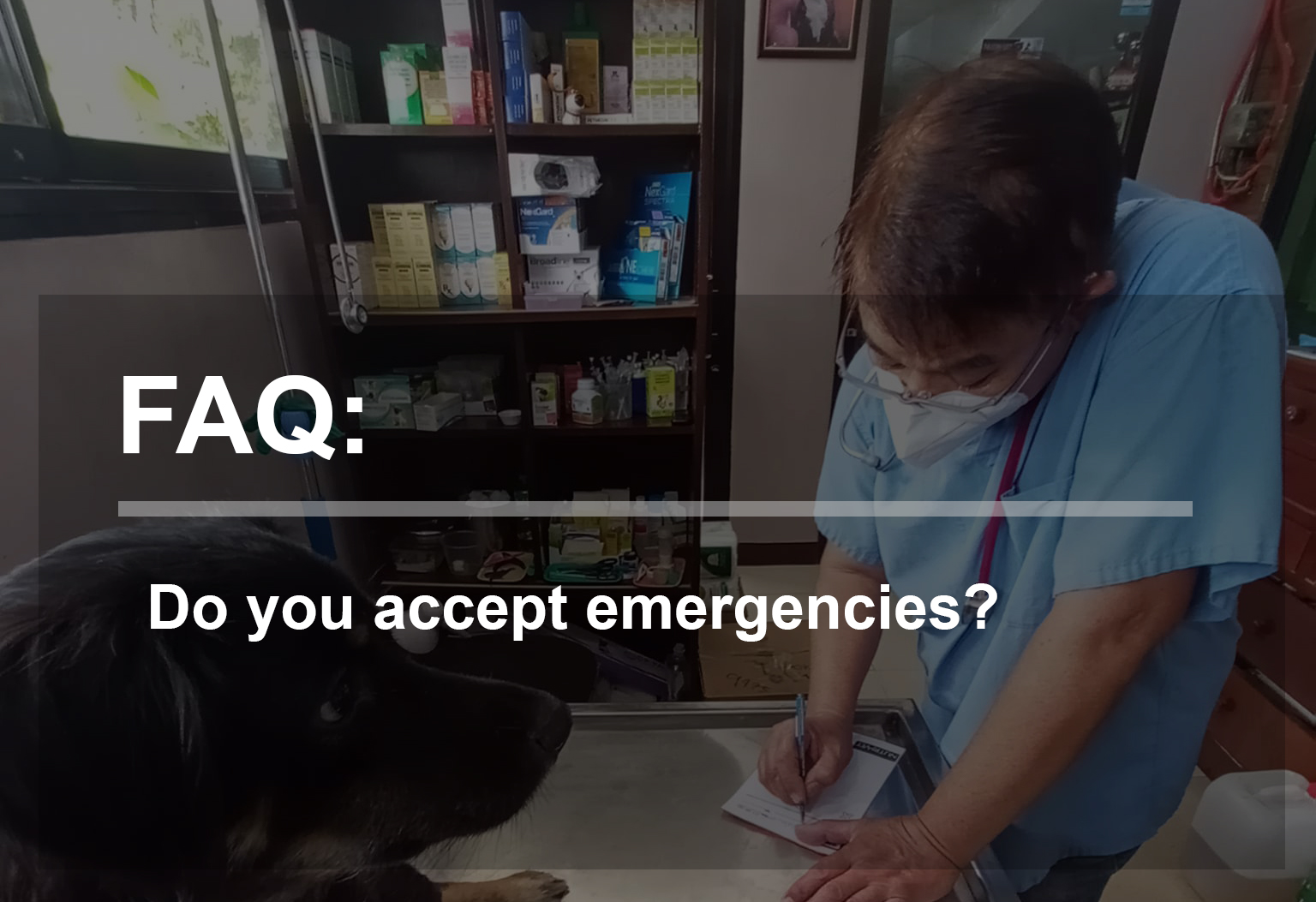 Do you accept emergencies?