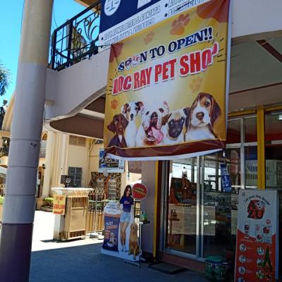 Our Petshop