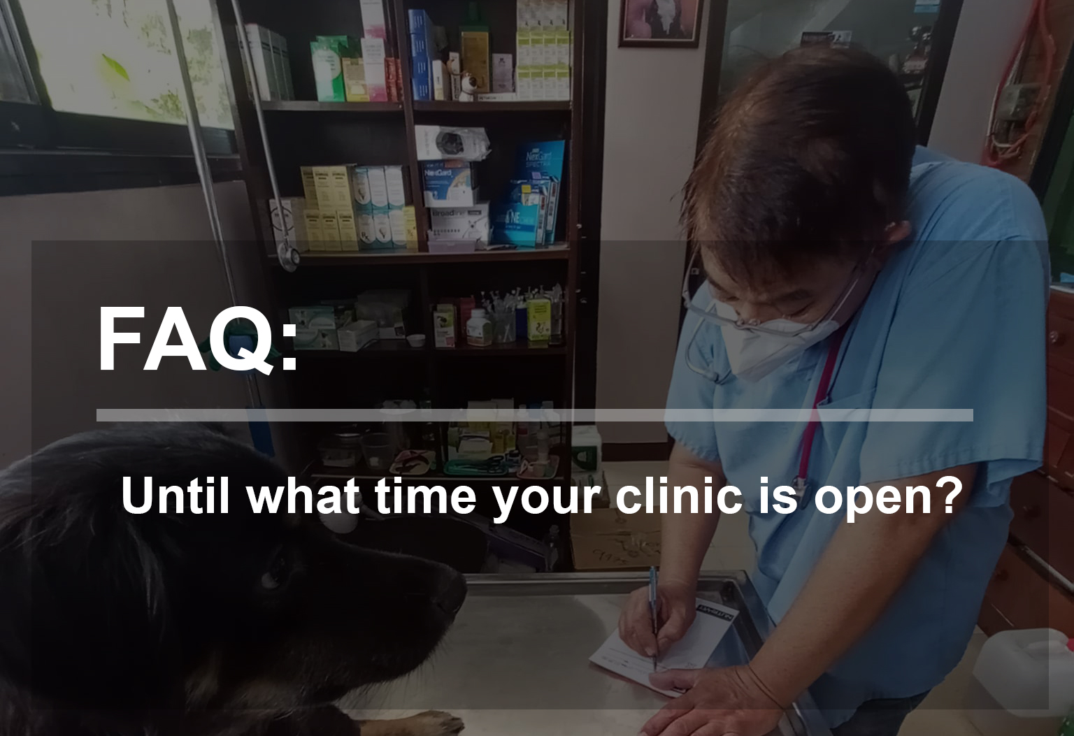 Until what time your clinic is open?