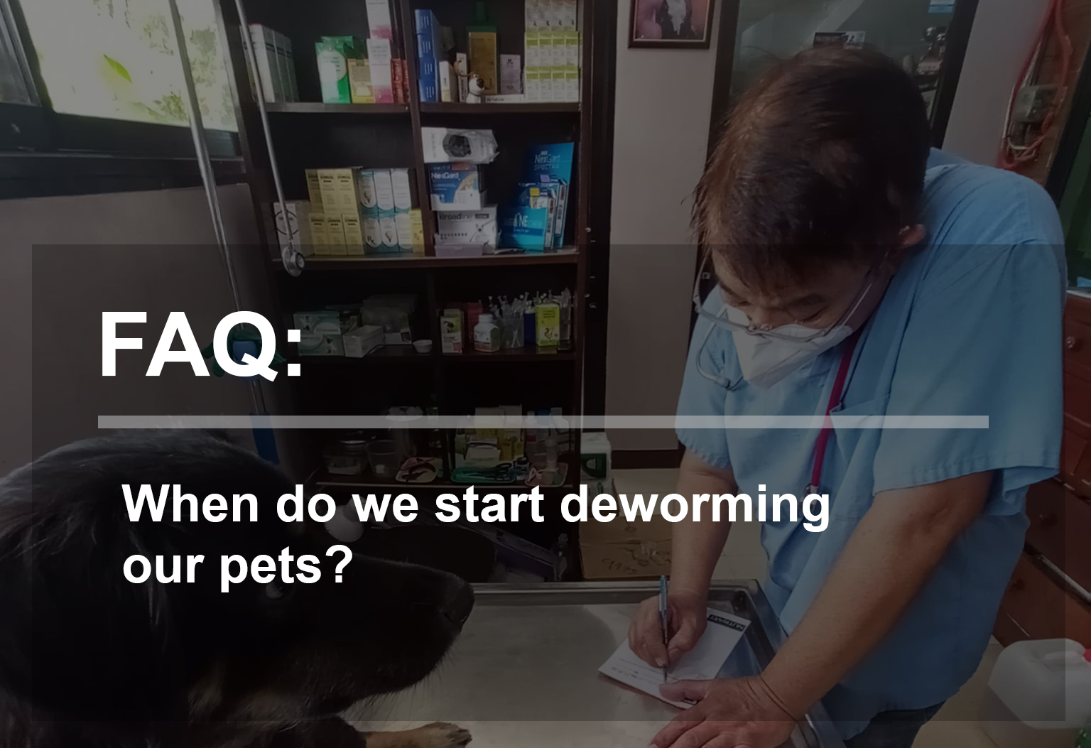 When do we start deworming our pets?
